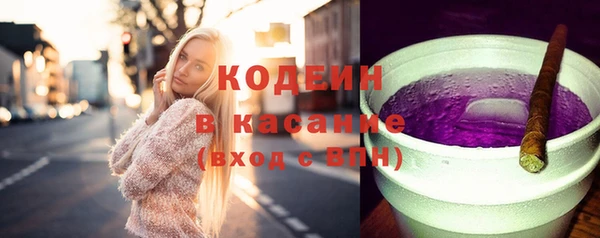 хмурый Аркадак