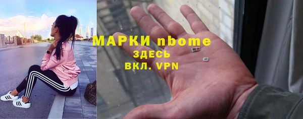 хмурый Аркадак