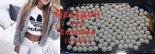 хмурый Аркадак