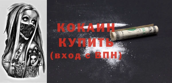 хмурый Аркадак