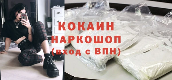хмурый Аркадак