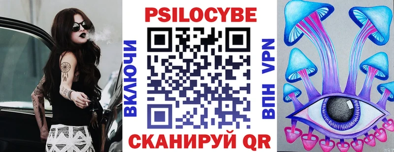 купить закладку Унеча Галлюциногенные грибы Psilocybine cubensis